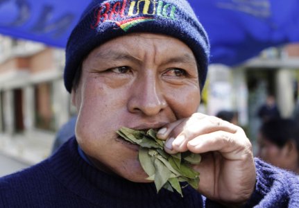 tmp_23609-chewing-coca-leaves(2)-1931891611.jpg