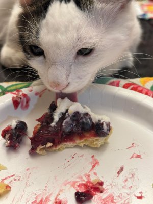 IMG_6106.jpeg