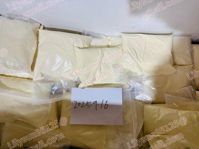 IMG_1503 (1).jpeg