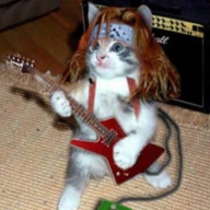 RockMuncha