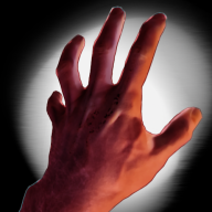 DrelictSinroi