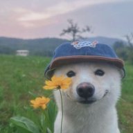 nickatlas