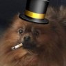 Tacobear