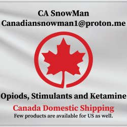 Canadian Snow Man