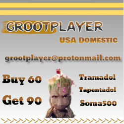 Groot Player