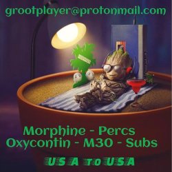 Groot Player