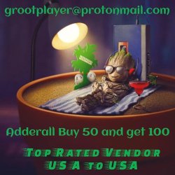 Groot Player