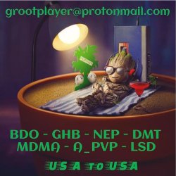 Groot Player