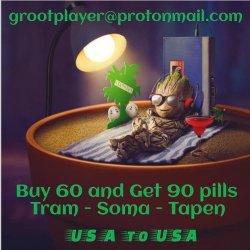 Groot Player