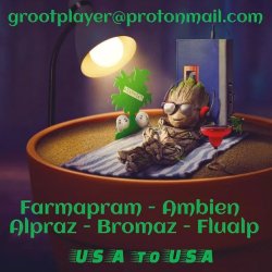 Groot Player