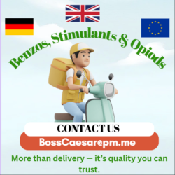 Germany - EU - Boss Caesar