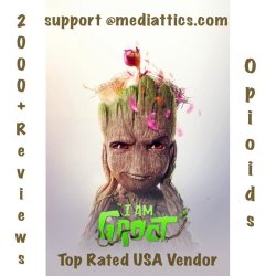 Groot Player