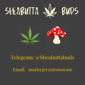 Sheabutta Buds