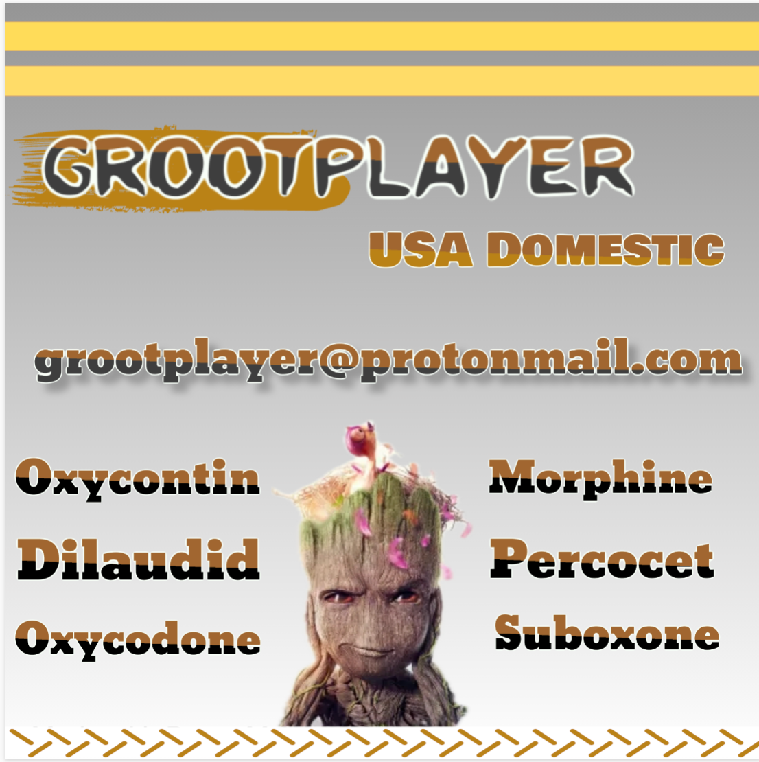 Groot Player