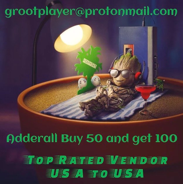 Groot Player