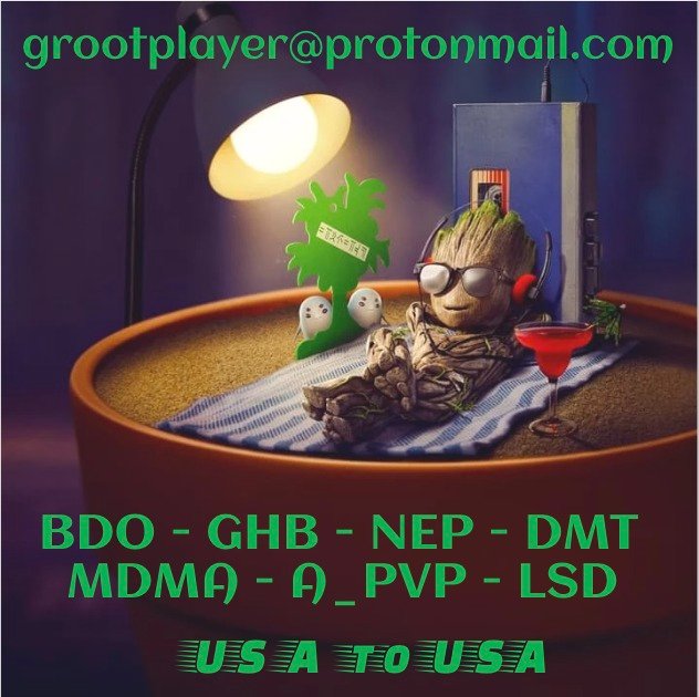 Groot Player