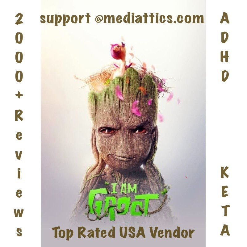 Groot Player