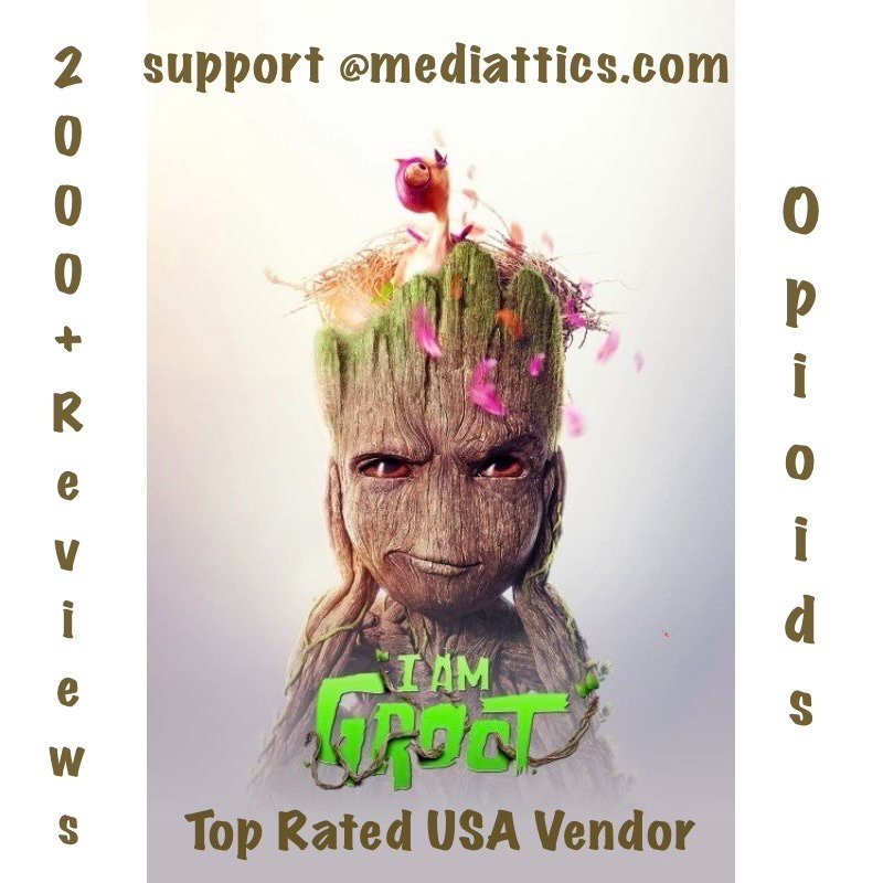 Groot Player