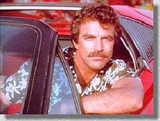 pic_selleck.jpg