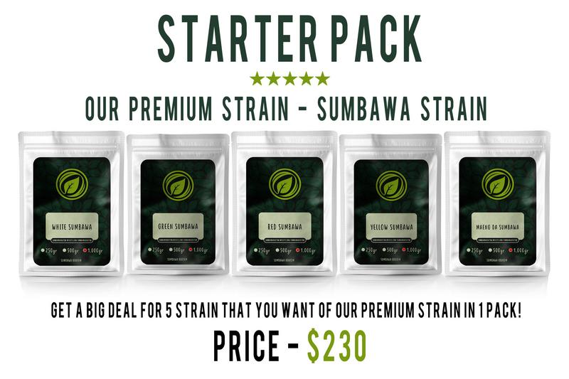 SUMBAWA_PROMO.jpg