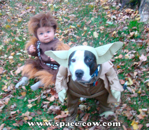 Chewbacca+and+Yoda+funny+costumes.jpg